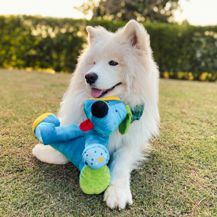 Brinquedo de Pelúcia Cachorro Bob Azul