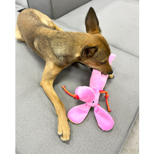 Brinquedo de Pelúcia Cachorro Rosa Garrafa Pet