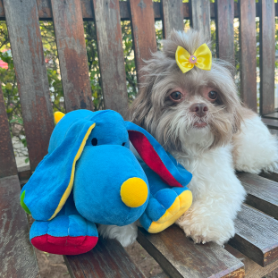 Brinquedo de Pelúcia Cachorro Romeo Azul