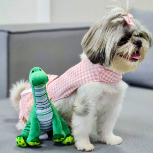 Brinquedo de Pelúcia Dino Bibi