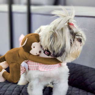 Brinquedo de Pelúcia Macaco Julio