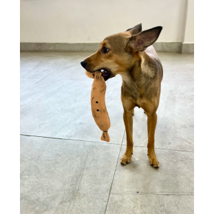 Brinquedo de Pelúcia Salsicha Bege