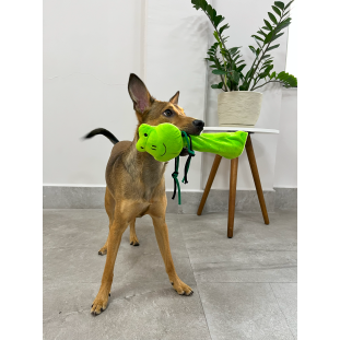 Brinquedo de Pelúcia Sapinho Garrafa Pet