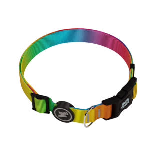 Coleira Premium Rainbow Multipatas
