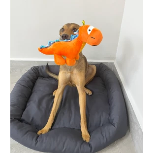 Brinquedo de Pelúcia Dino Rex