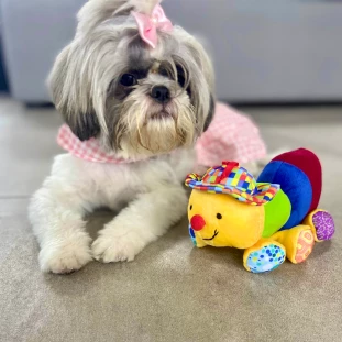 Brinquedo de Pelúcia Formiguinha Gordinha