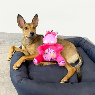 Brinquedo de Pelúcia Hipo Hipo