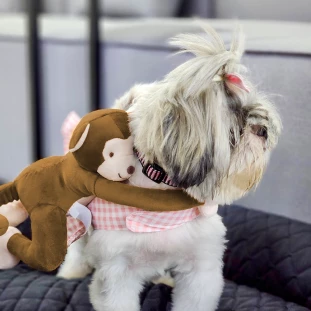 Brinquedo de Pelúcia Macaco Julio