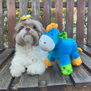 Brinquedo de Pelúcia Poney Pocotó