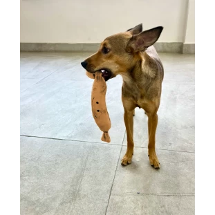 Brinquedo de Pelúcia Salsicha Bege
