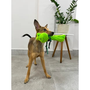 Brinquedo de Pelúcia Sapinho Longuinho