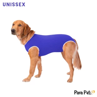 Roupa Pós Cirúrgica Zíper Macho/Unissex
