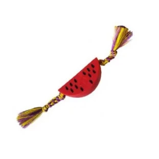 Brinquedo Dental Bone