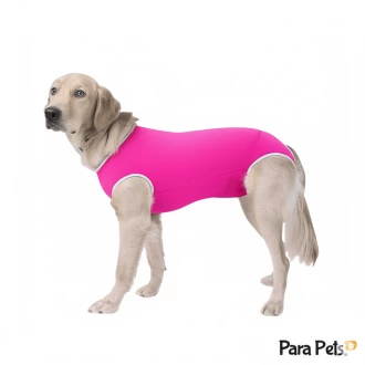 Roupa Pós Cirúrgica Zíper Fêmea